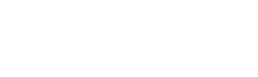 BIDF Logo Footer